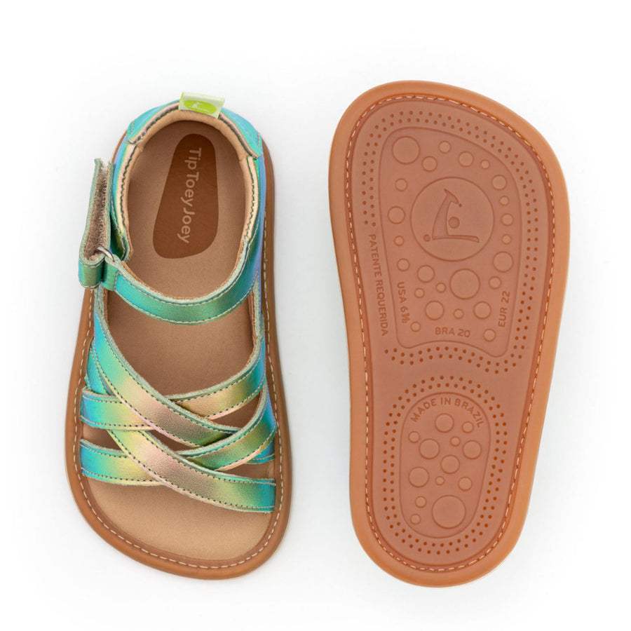 Tip Toey Joey Primeiros Criss Cross Boreal