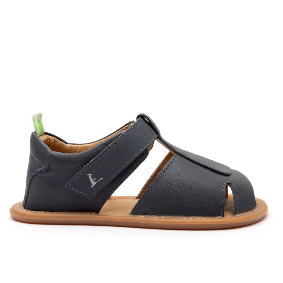 Whisky Tip Toey Joey Primeiros Parky Navy