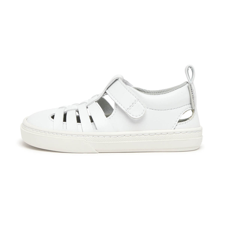 Zapato Feroz Rockers Tabarca Blanco