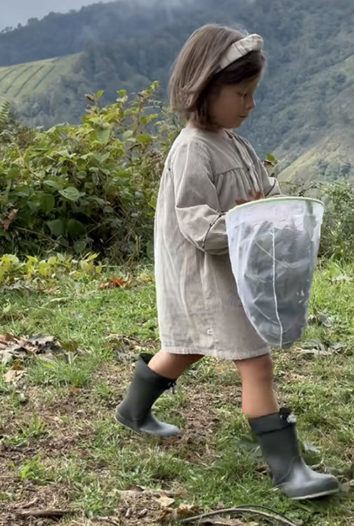 Chaussures Botte Igor Igor Barefoot Yogi Dk Cuello Petroleo