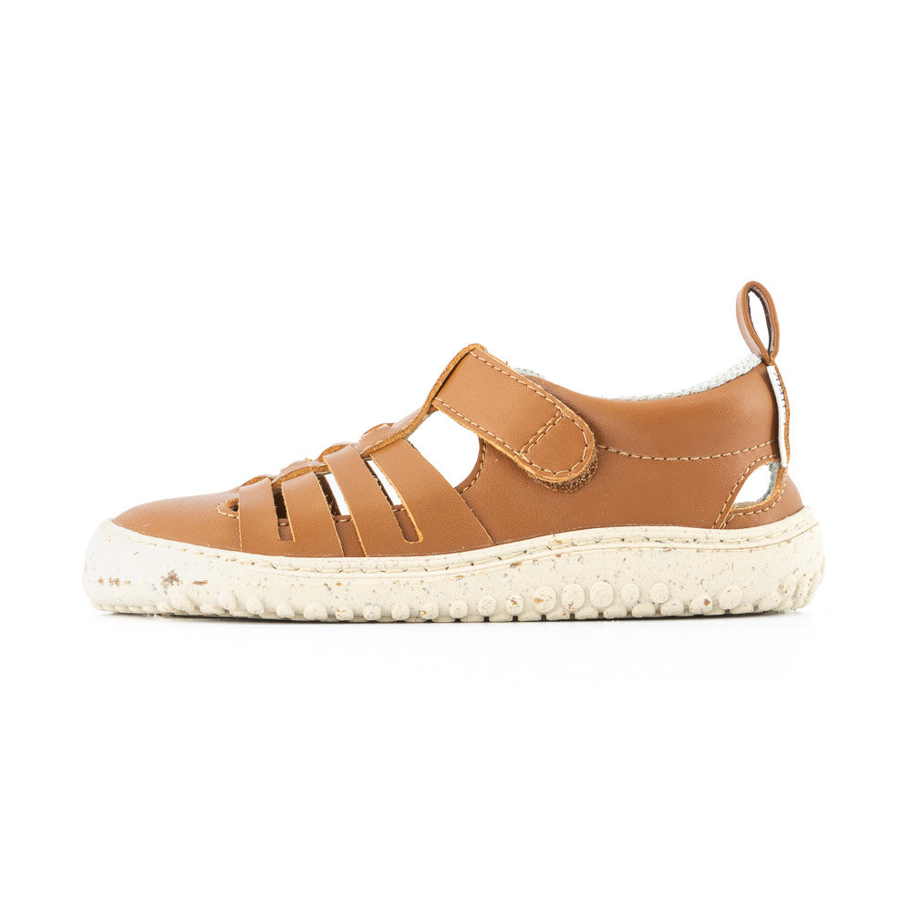 Zapato Feroz Rockers Tabarca Nut