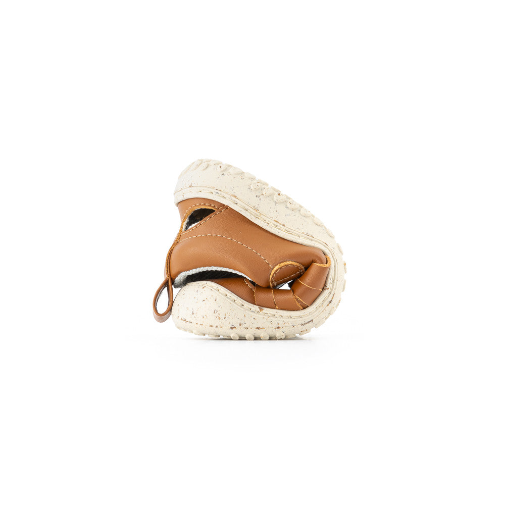 Zapato Feroz Rockers Tabarca Nut