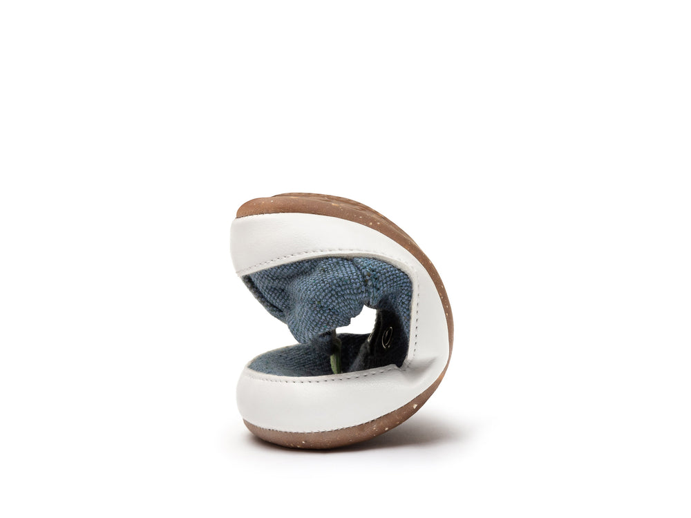 Tip Toey Joey Primeiros  Spicey Azul Cobalto Eco Canvas