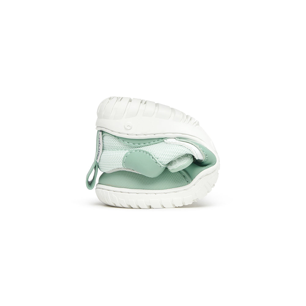 Zapato Feroz Rockers Biar Mint