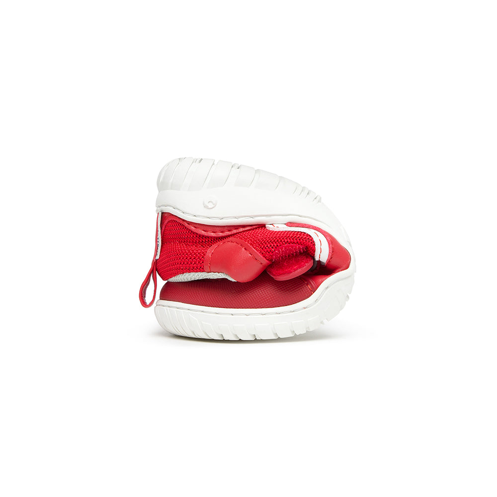 Zapato Feroz Rockers Biar Rojo