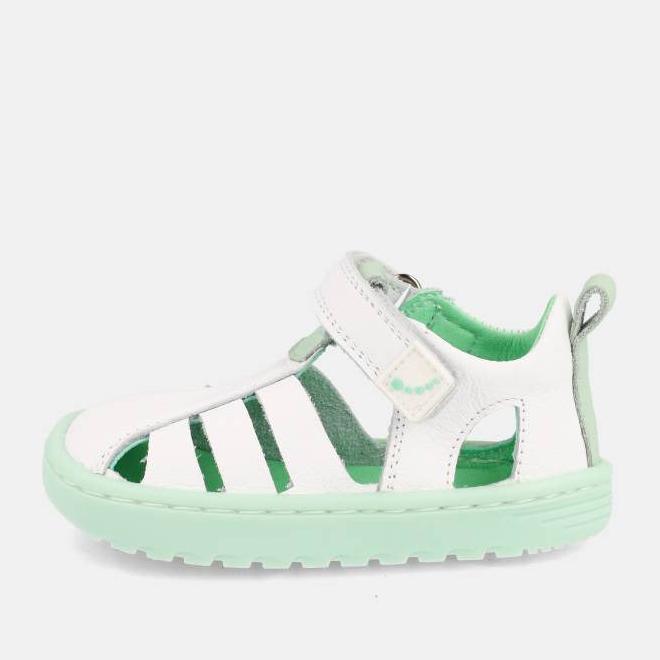 Blanditos Cuba Verde