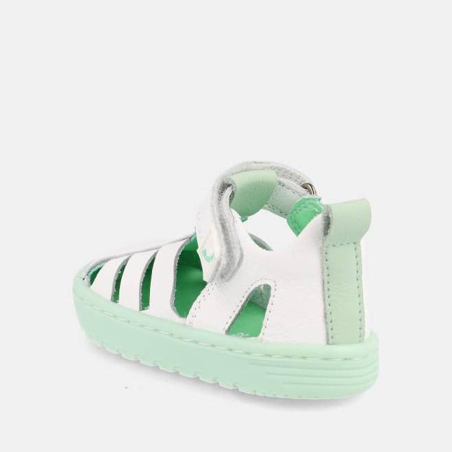 Blanditos Cuba Verde