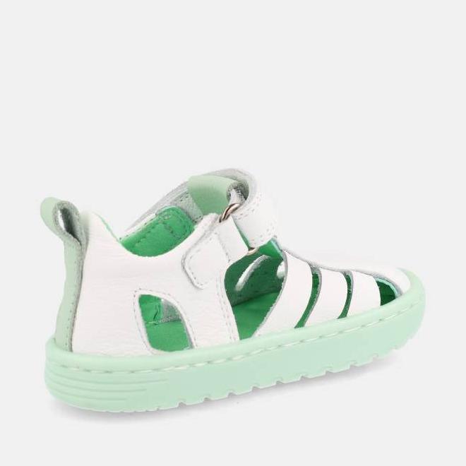 Blanditos Cuba Verde