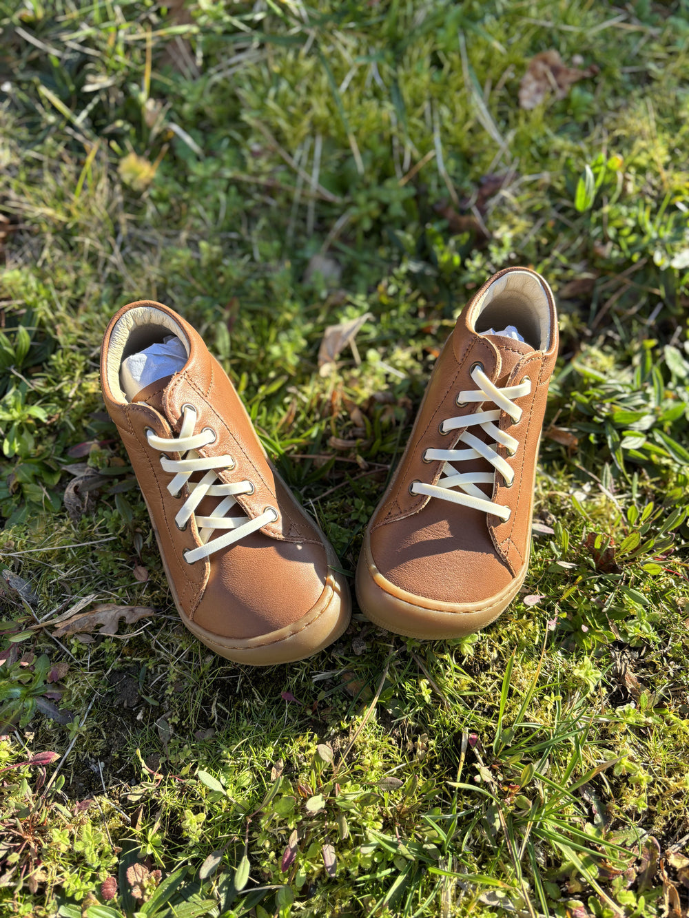Gorilla cordones anchos Vainilla