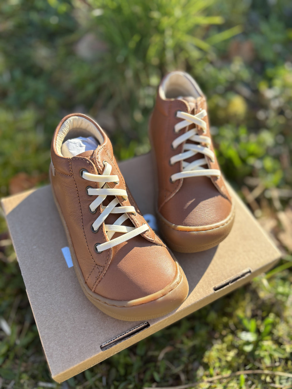 Gorilla cordones anchos Vainilla