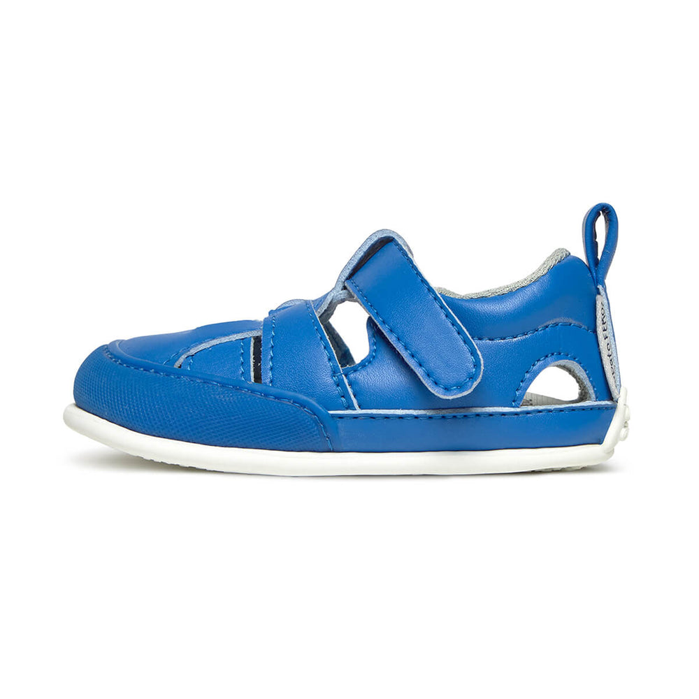 Zapato Feroz Feroz Irta Azul Royal Microfibra