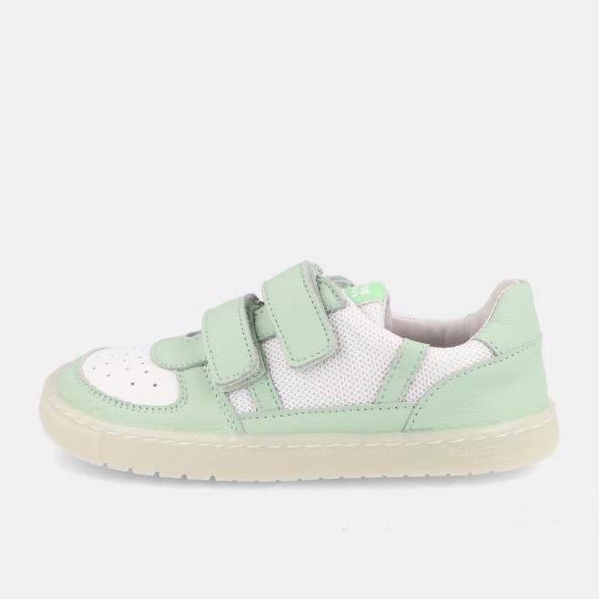 Blanditos Kauai Verde