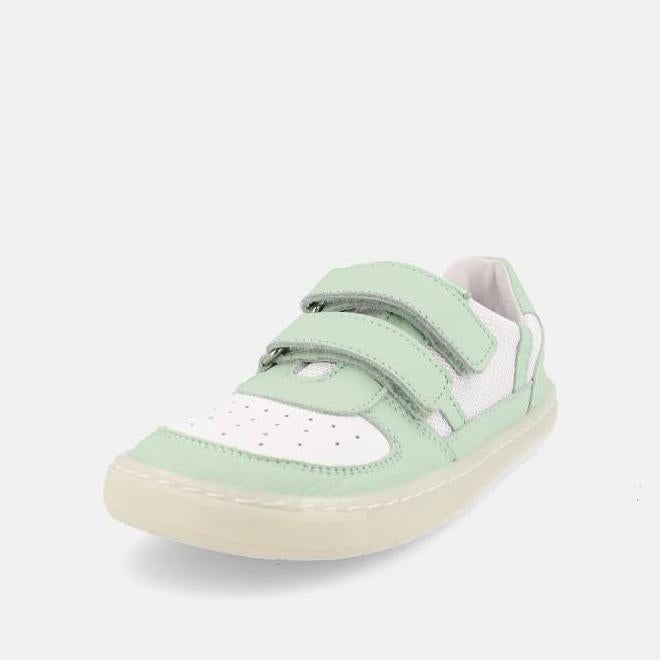 Blanditos Kauai Verde