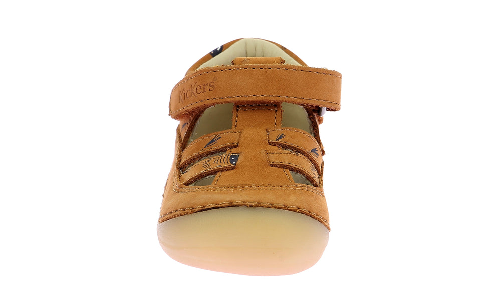 Kickers Kick Sushyk Camel Zèbres