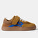 Lejan One Camel Electric Blue