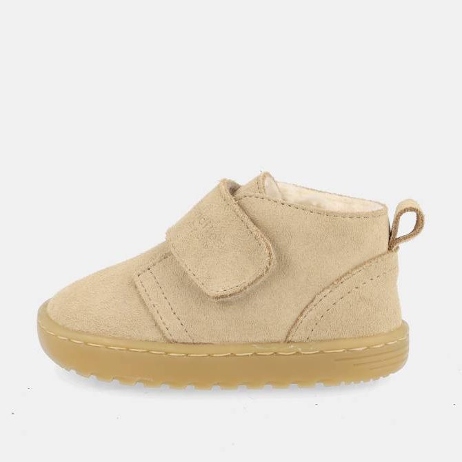 Blanditos Ottawa Arena