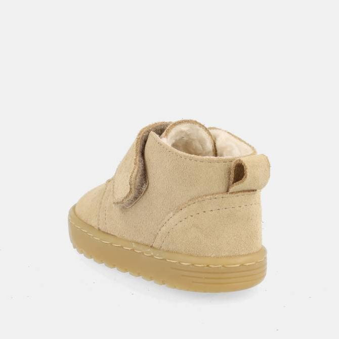 Blanditos Ottawa Arena