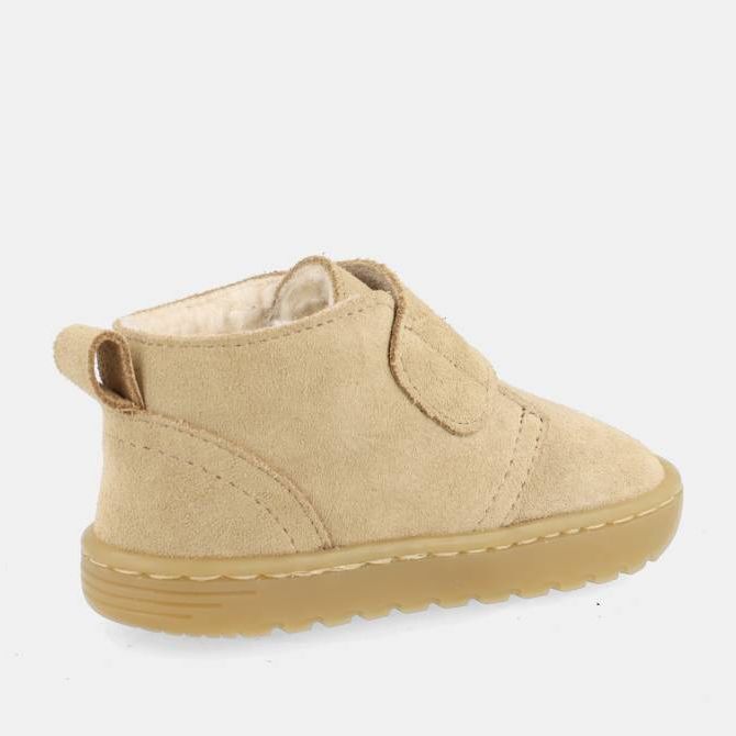 Blanditos Ottawa Arena