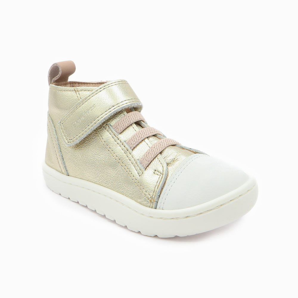 Blanditos Pekin Champan