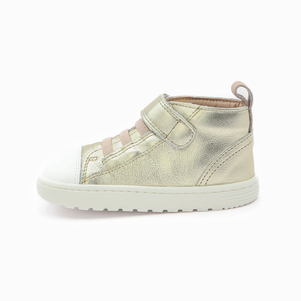 Blanditos Pekin Champan