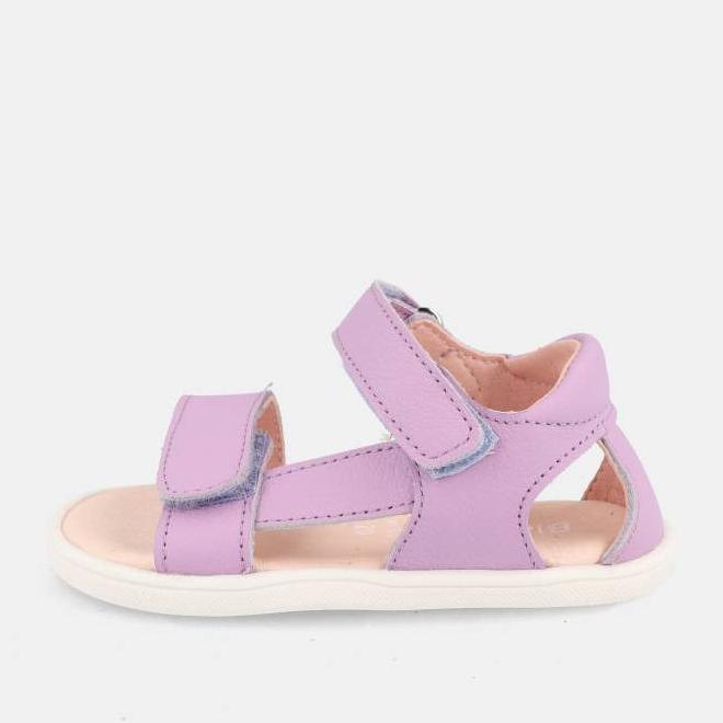 Blanditos Siros Lilas