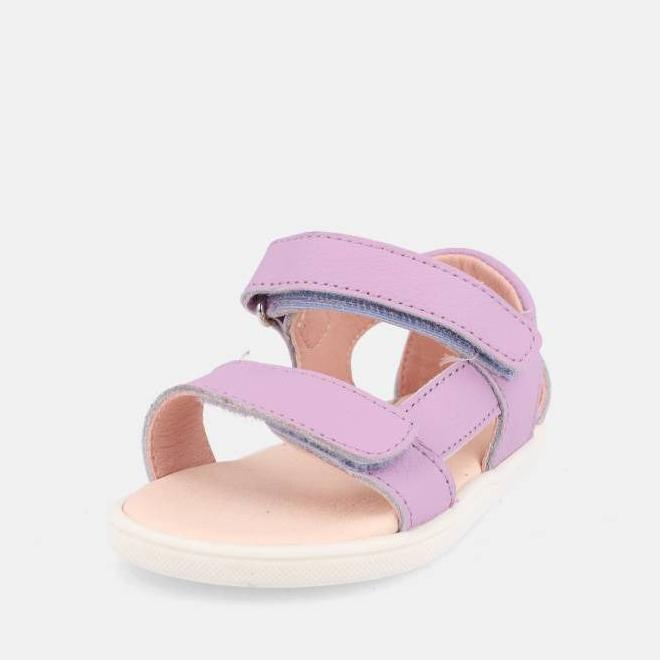 Blanditos Siros Lilas