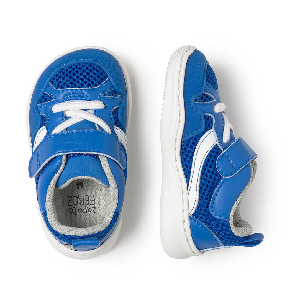 Zapato Feroz Tibi Azul Royal