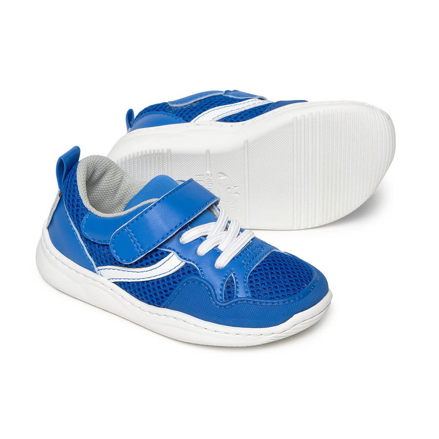 Zapato Feroz Rockers Tibi Azul Royal