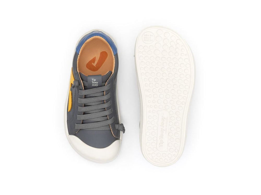 Tip Toey Joey Kidos Ground Slate Blue Caja Blue Tang