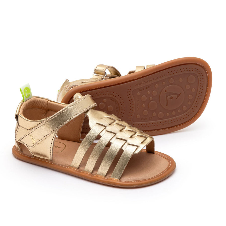 Tip Toey Joey Primeiros Athena Metal Gold