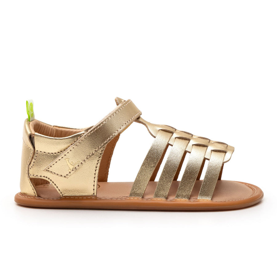 Tip Toey Joey Primeiros Athena Metal Gold