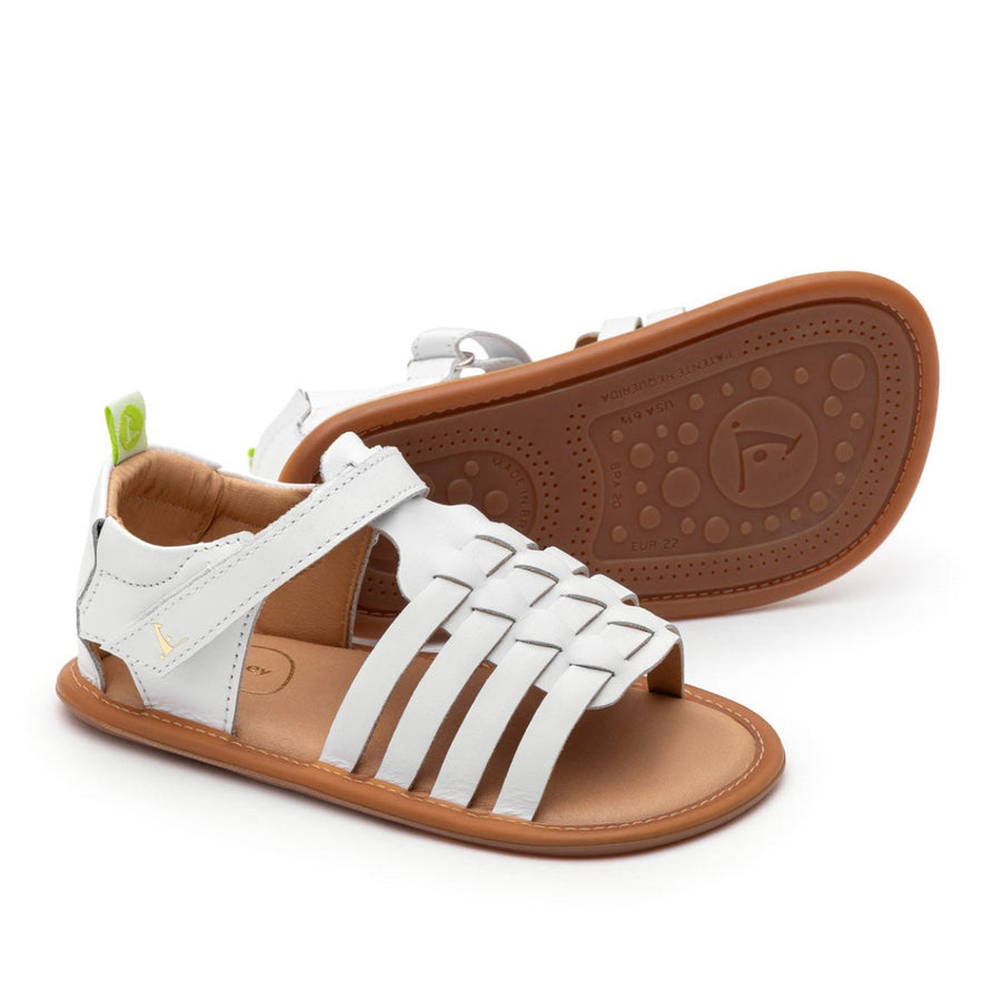 Tip Toey Joey Primeiros Athena White