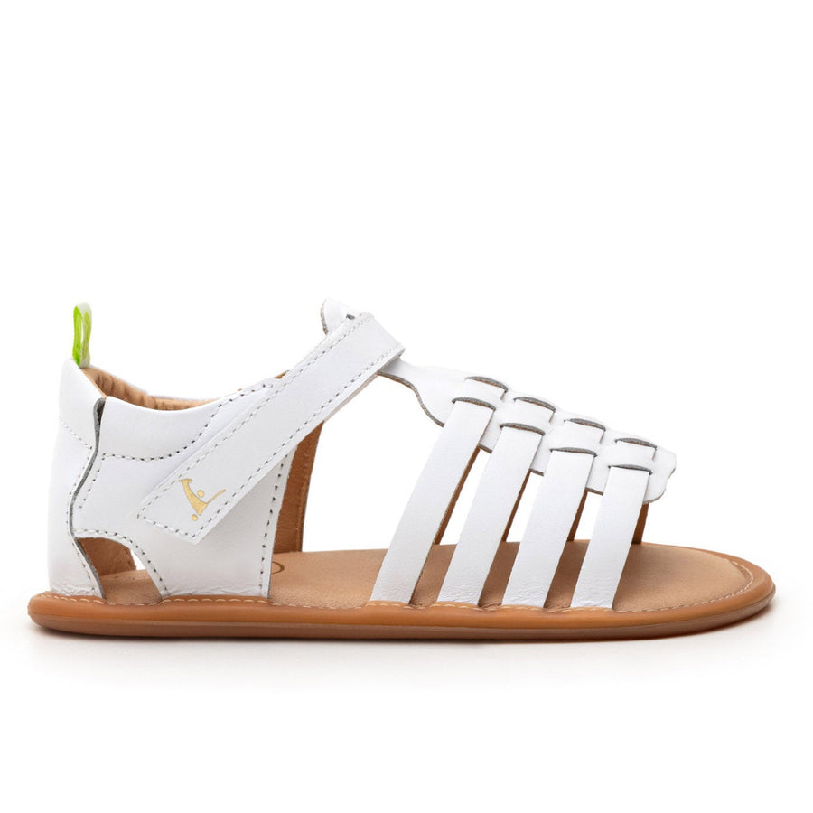 Tip Toey Joey Primeiros Athena White