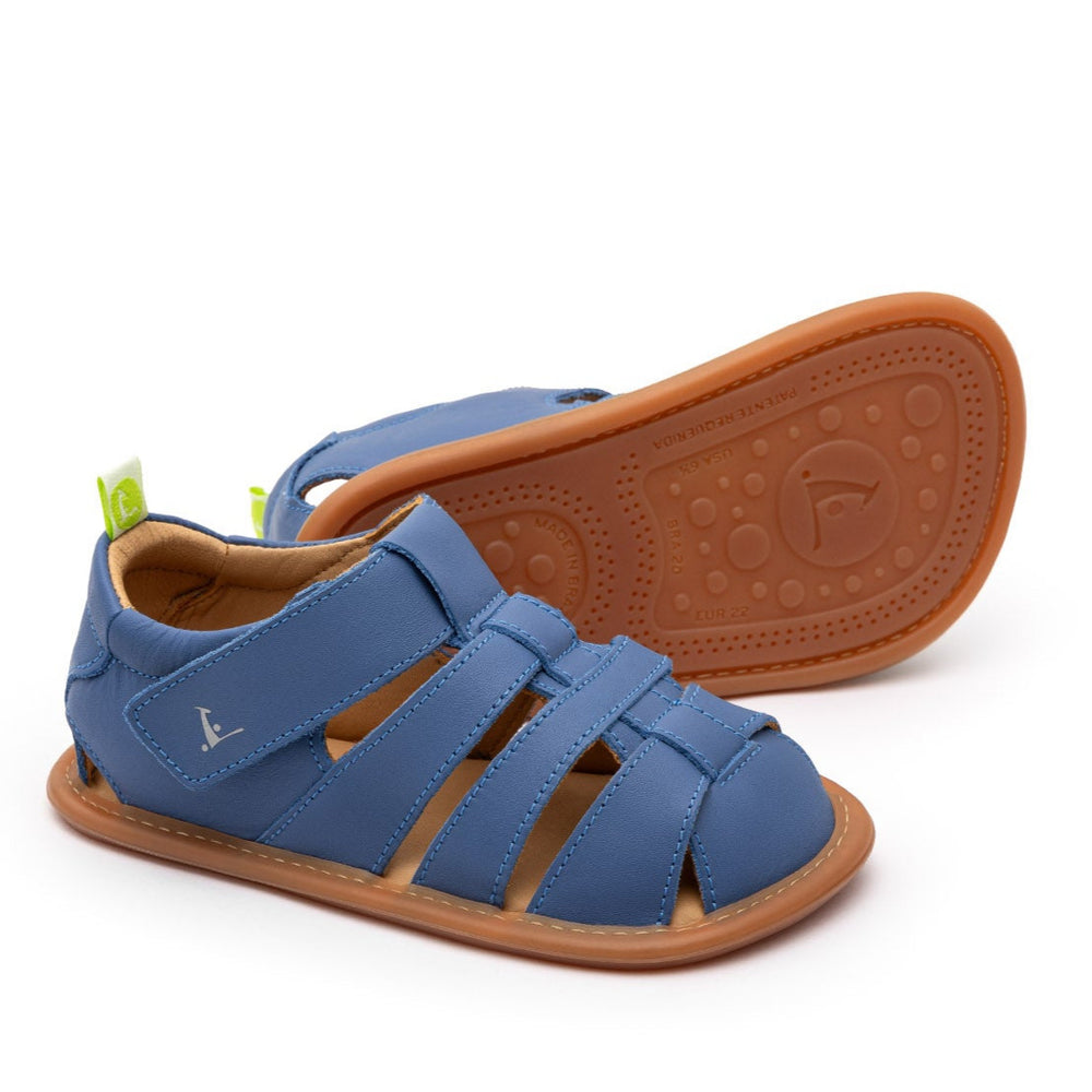 Tip Toey Joey Primeiros Sandy Blue Tang