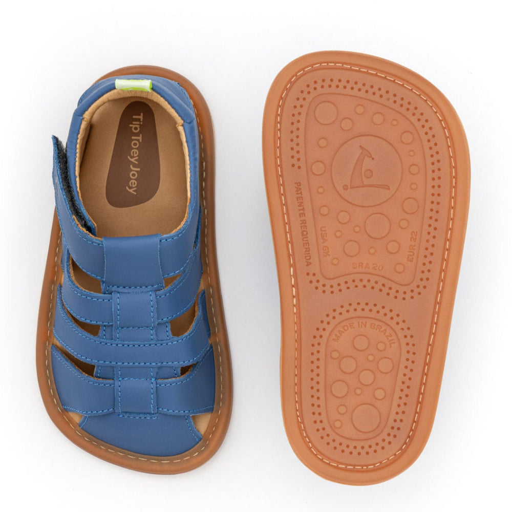 Tip Toey Joey Primeiros Sandy Blue Tang