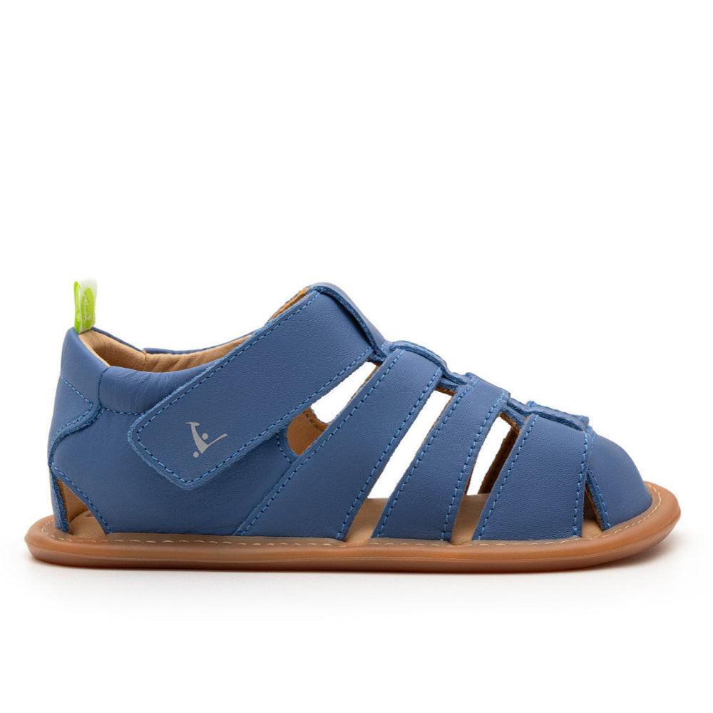 Tip Toey Joey Primeiros Sandy Blue Tang