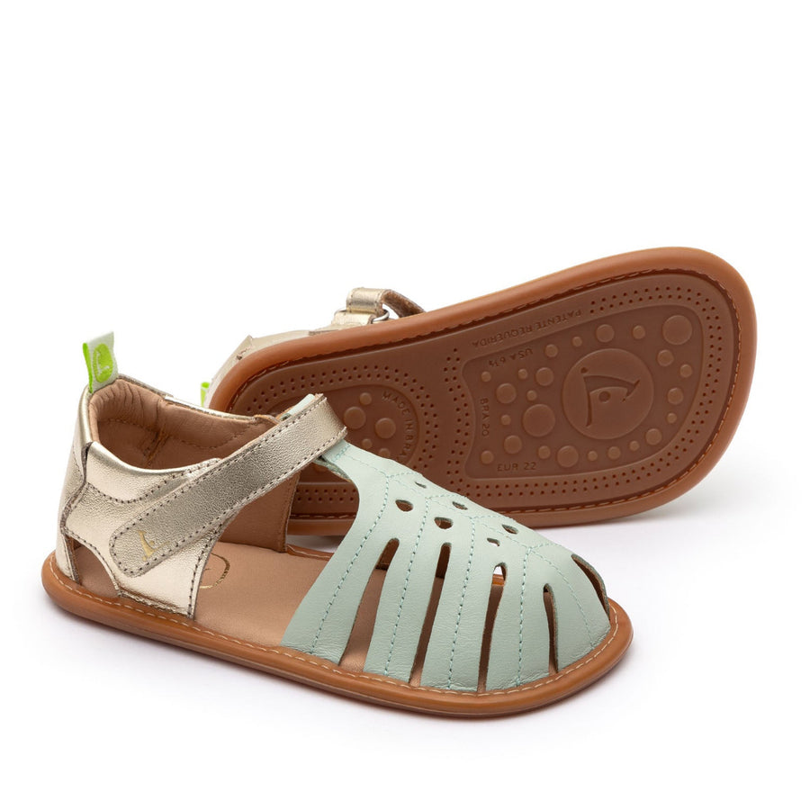 Tip Toey Joey Primeiros Tropically Mint Champagne