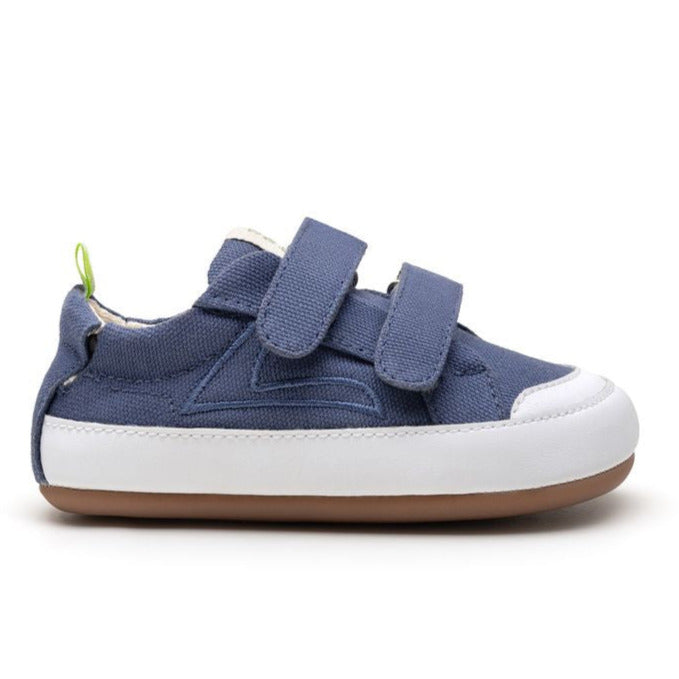 Tip Toey Joey Primeiros Bossy Green Azul Klein Canvas