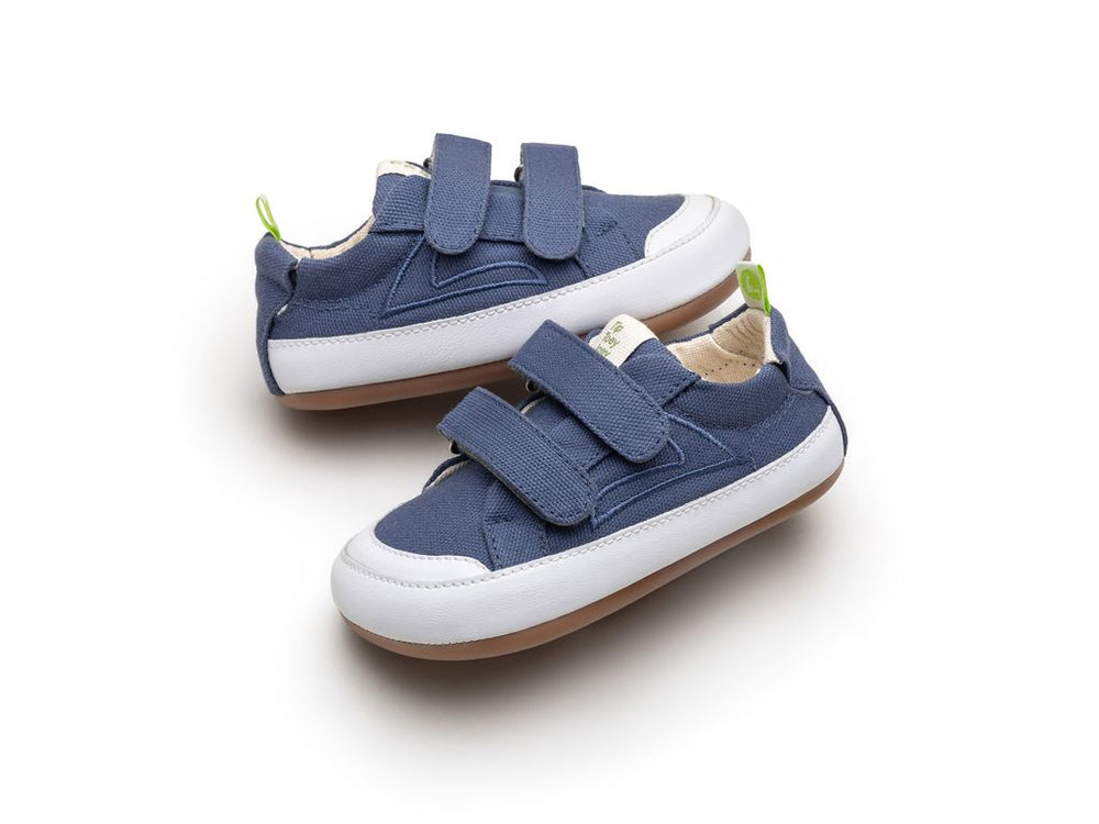 Tip Toey Joey Primeiros Bossy Green Azul Klein Canvas
