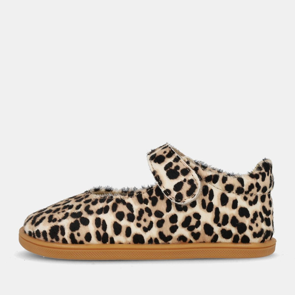 Blanditos Delhi Beige