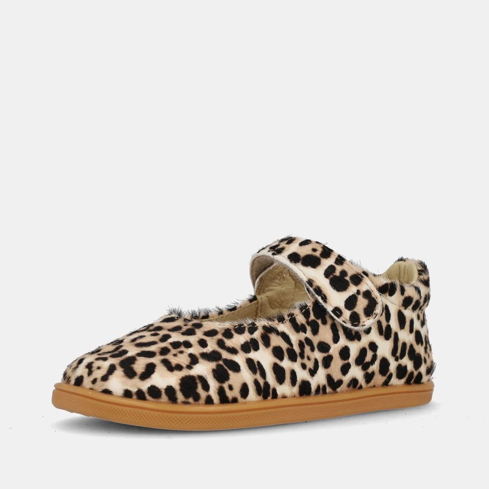 Blanditos Delhi Beige