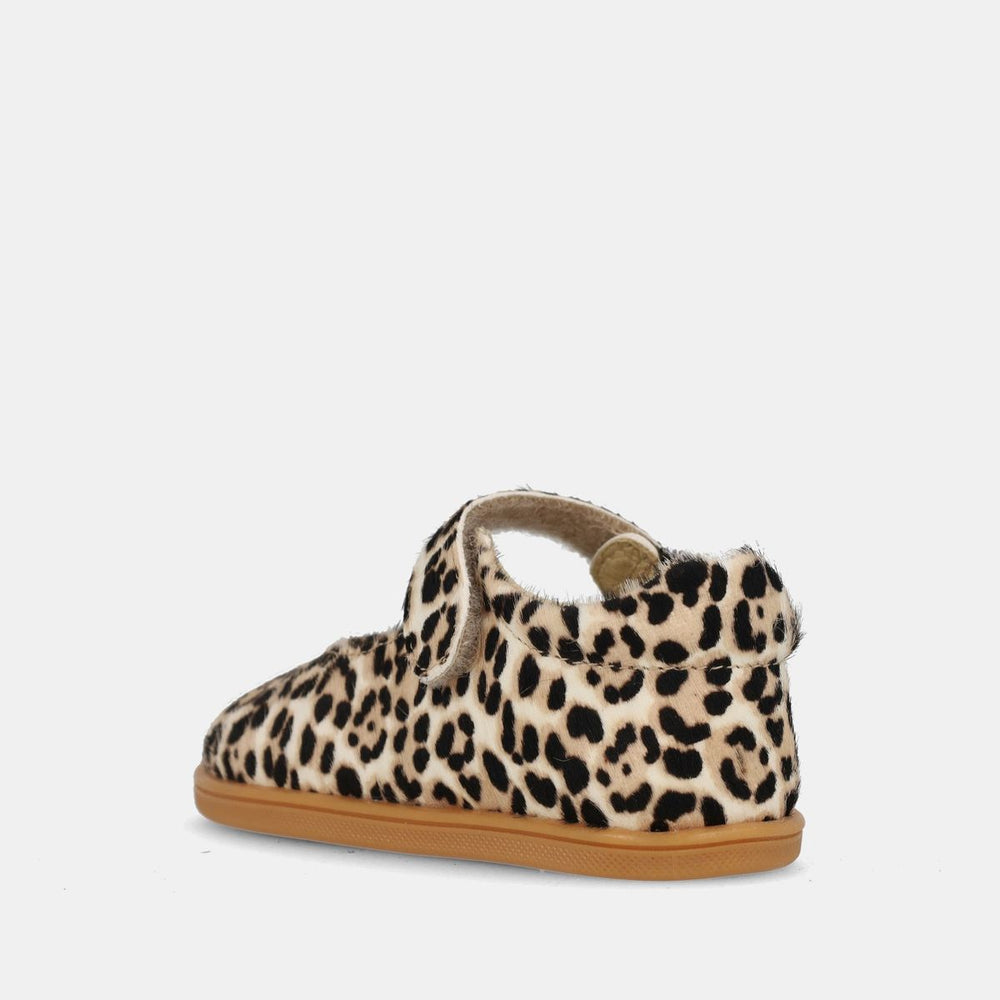 Blanditos Delhi Beige