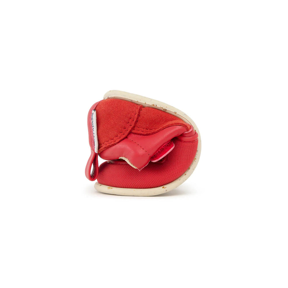 Zapato Feroz Féroces Cheste Rojo