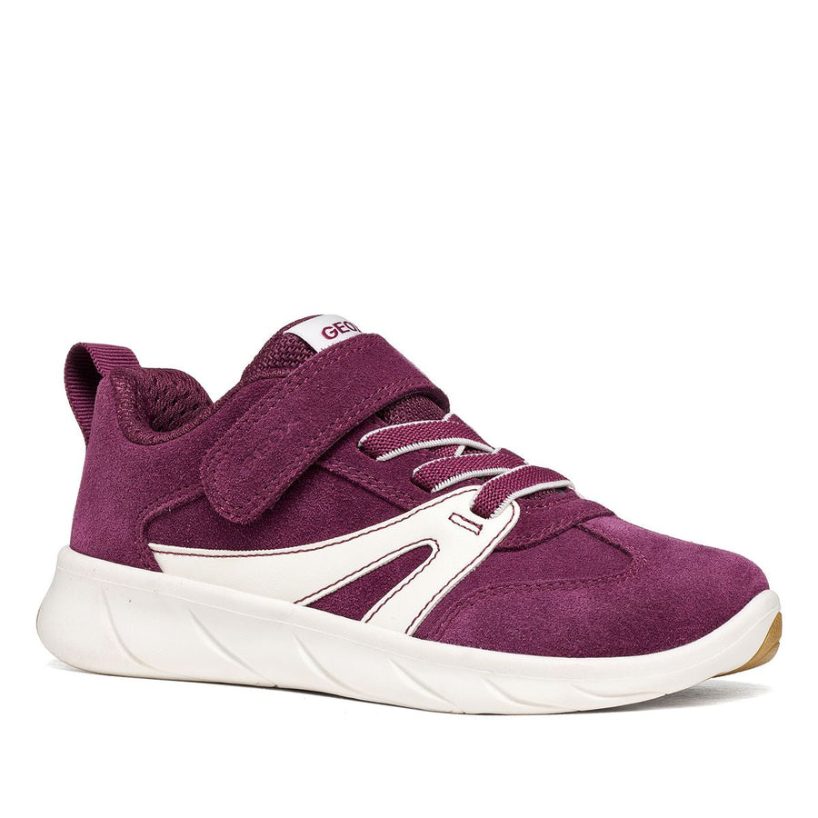 Geox Barefoot Sport Run Dk Purple White