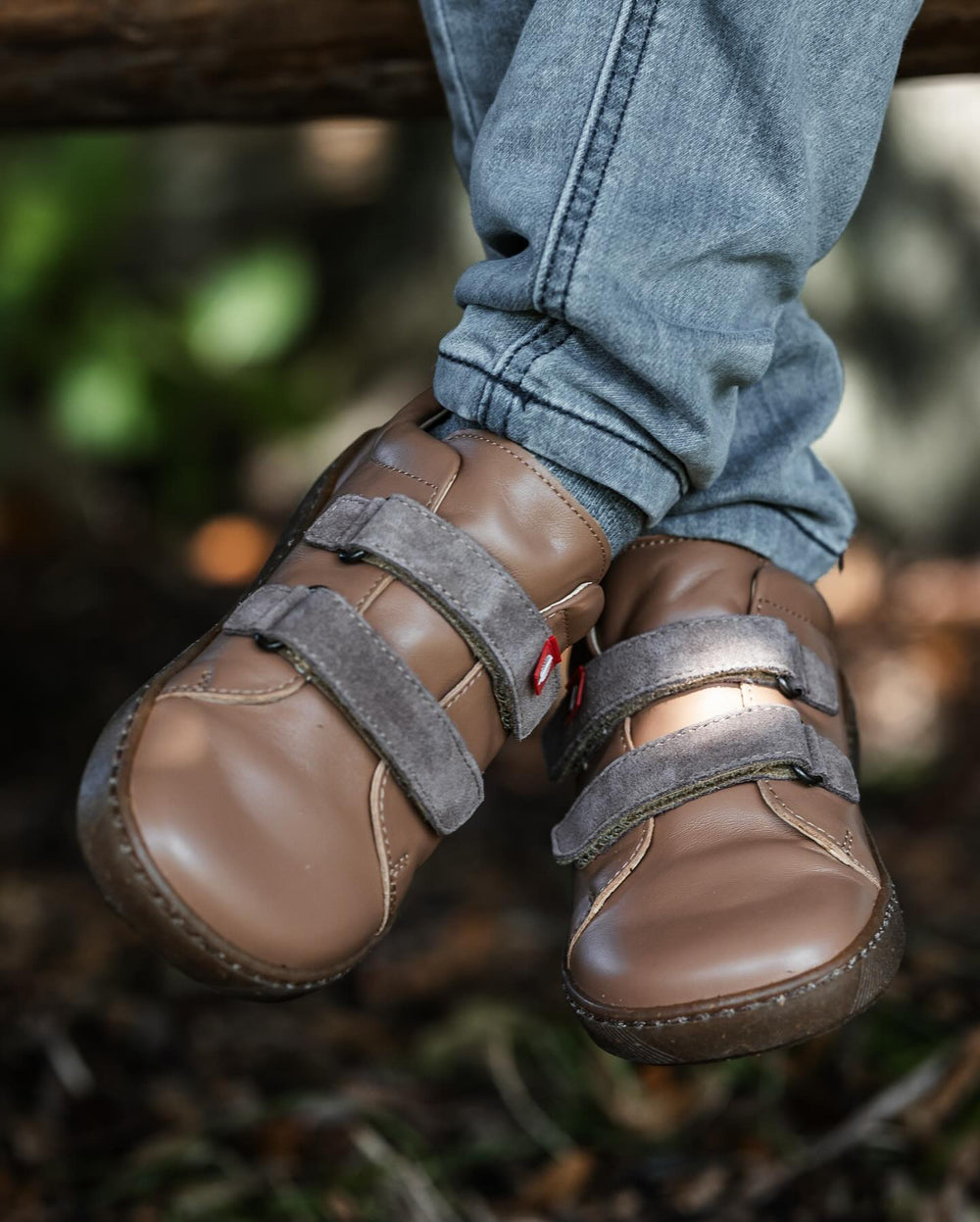 Lang.s Tikki Harlequin II Maple