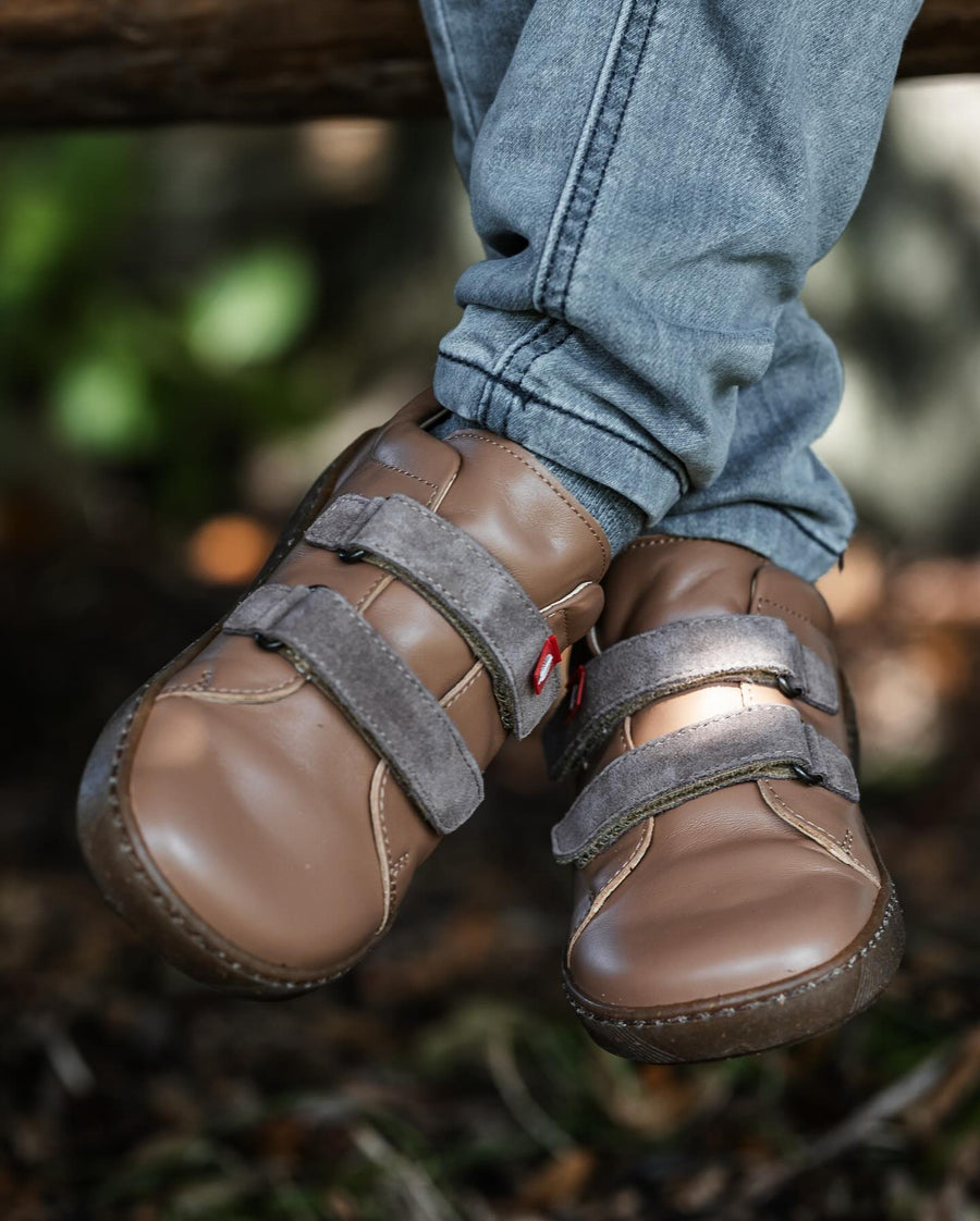 Lang.s Tikki Harlequin II Maple