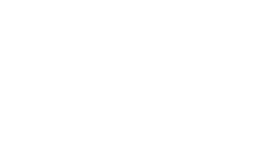 Logo Marca de productos para el cuidado del calzado - Famaco | Pasitos de Gigante