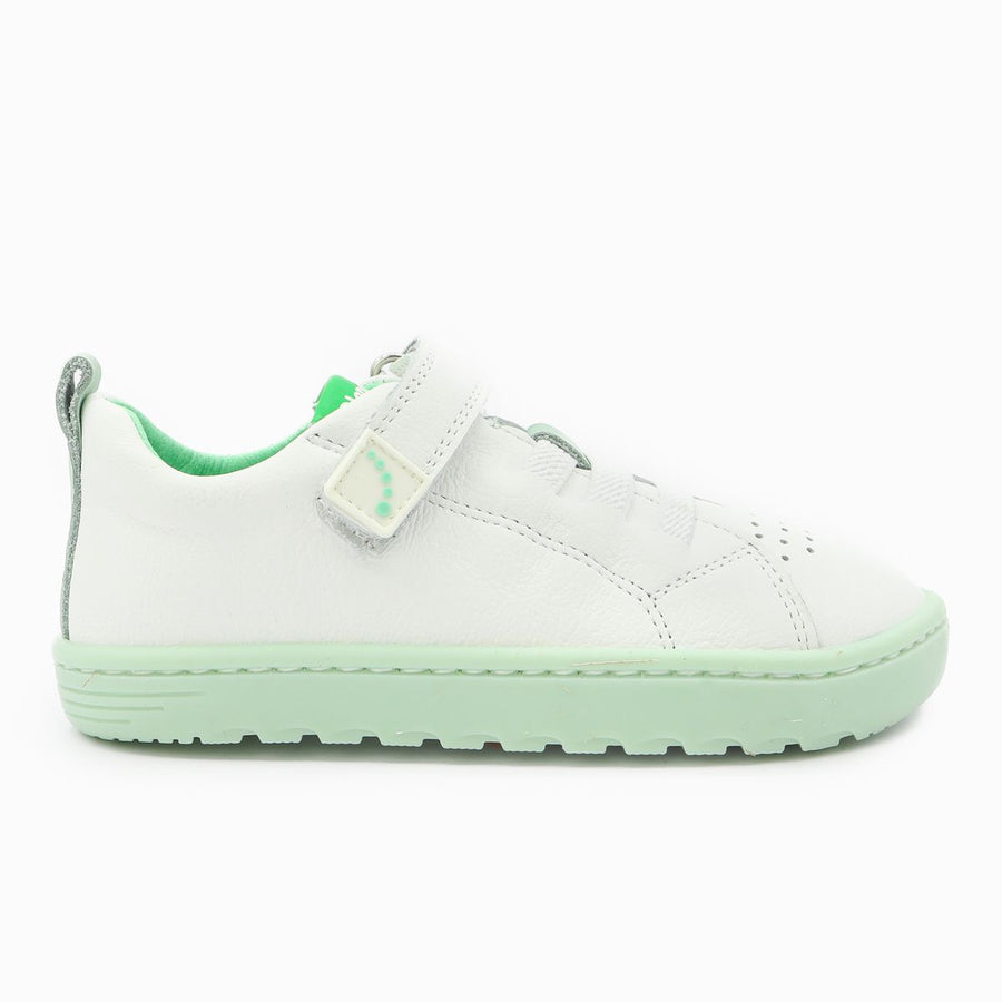 Blanditos Azores Verde