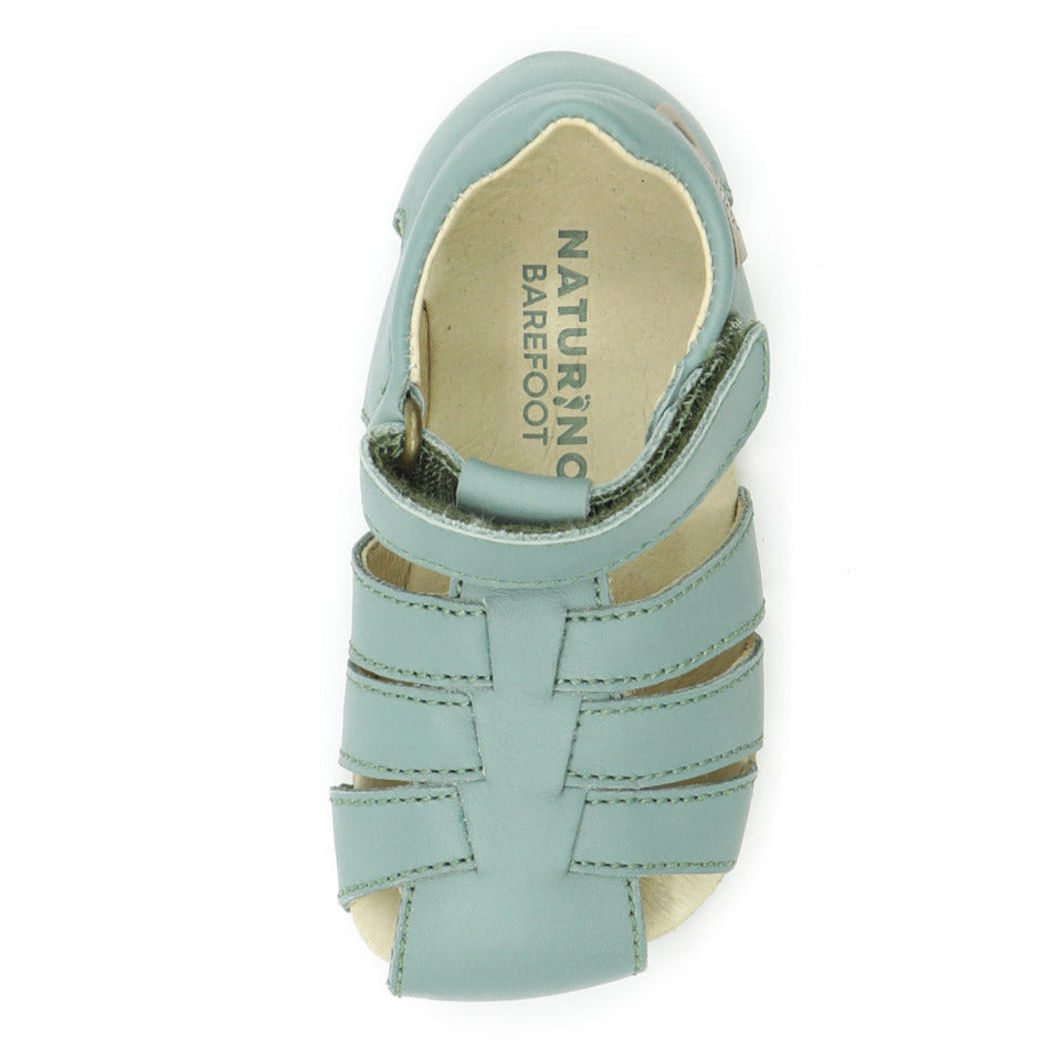 Naturino Barefoot Seerec Sage