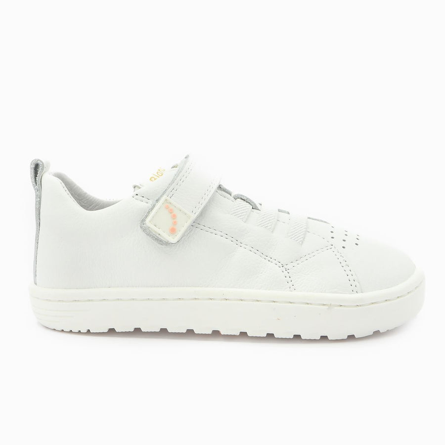 Blanditos Azores Blanco